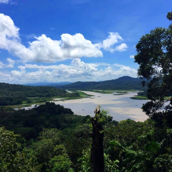 Meet your Posher!! - Picture 1 of 1